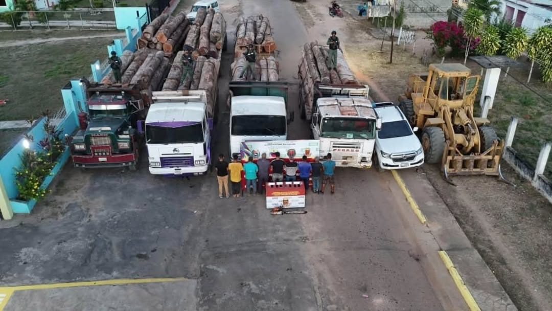 GNB detuvo a nueve personas por presunta tala ilegal en Bolívar