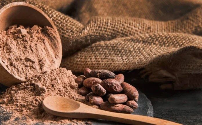 Mérida será el epicentro de la primera Rueda de Negocios Cacao 2025