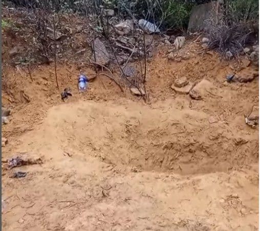 Policías encuentran enterrado en Coro a hombre que estaba desparecido: era del estado Zulia